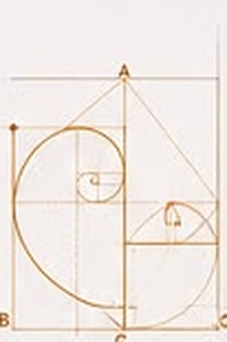 Stage one — the golden-ratio construction the mark is built on